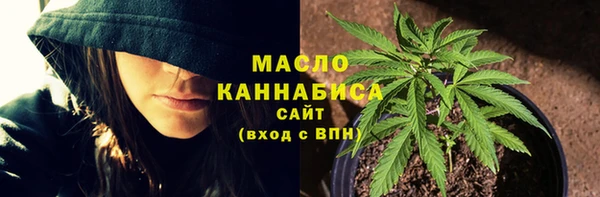 соль ск Бородино