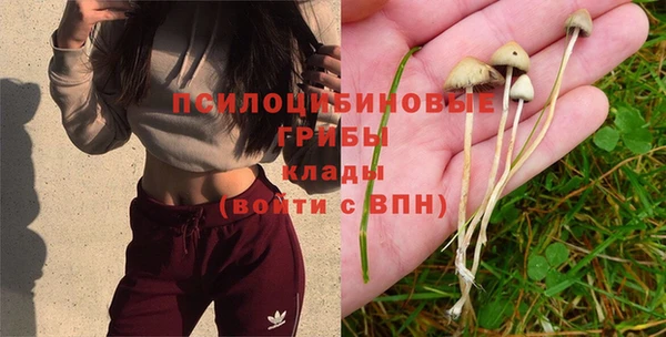 a pvp Бронницы