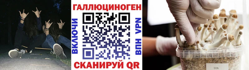 как найти   Верхняя Пышма  Псилоцибиновые грибы MAGIC MUSHROOMS 