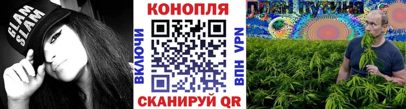 МЕГА маркетплейс  Верхняя Пышма  Бошки Шишки THC 21% 